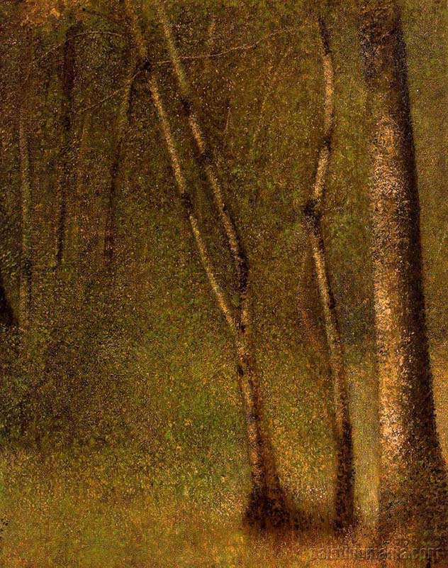 In the Woods at Pontaubert